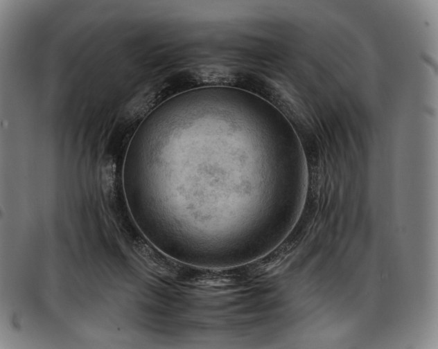 X0000097600263200802291250