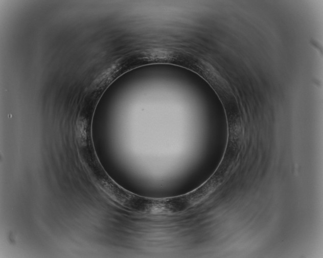 X0000097600264200802291250