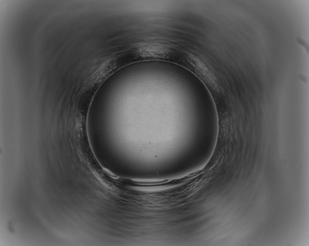 X0000097600265200802291250