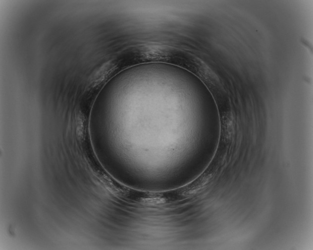 X0000097600266200802291250