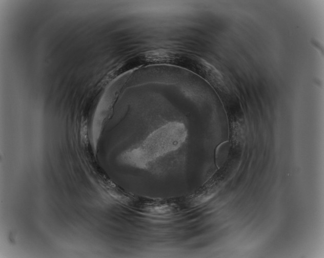 X0000097600267200802291250