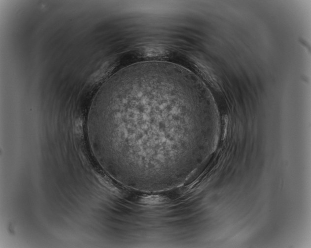 X0000097600269200802291250
