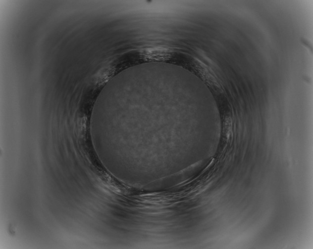 X0000097600271200802291250