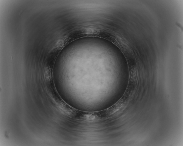 X0000097600272200802291250