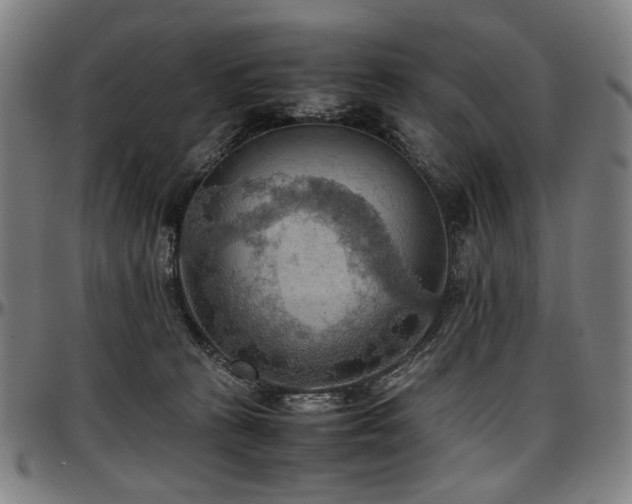 X0000097600273200802291250