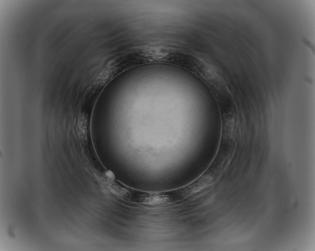 X0000097600274200802291251