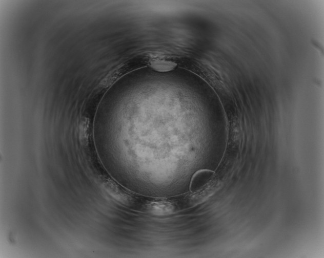 X0000097600275200802291251