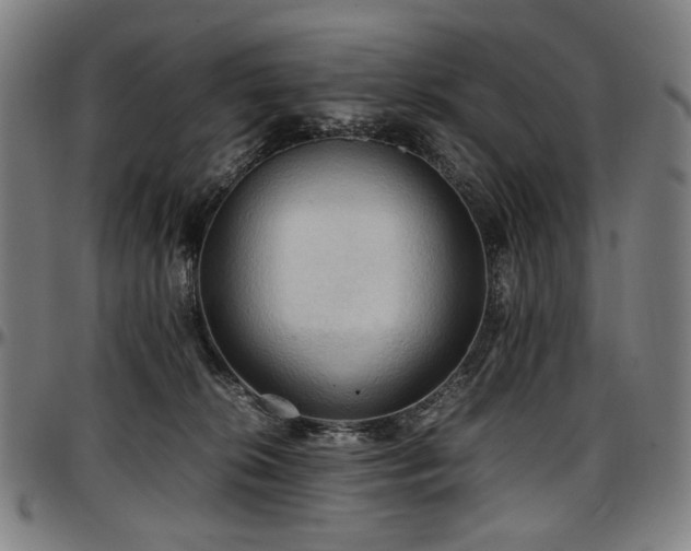 X0000097600276200802291251