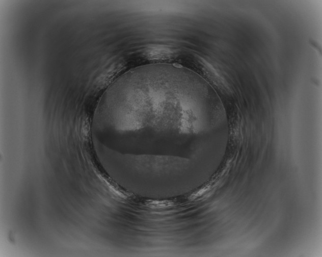 X0000097600277200802291251