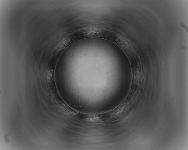 X0000097600278200802291251