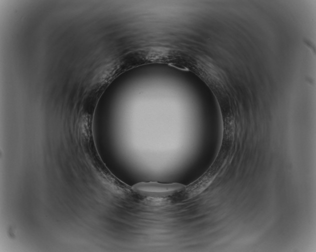 X0000097600280200802291251