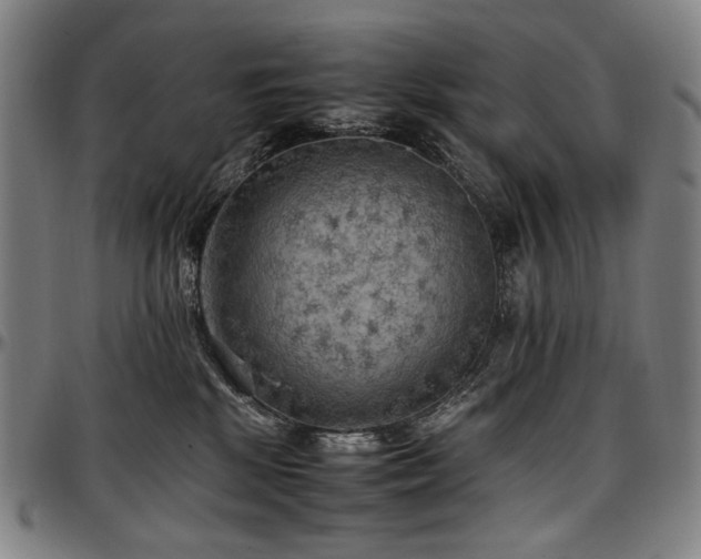 X0000097600281200802291251