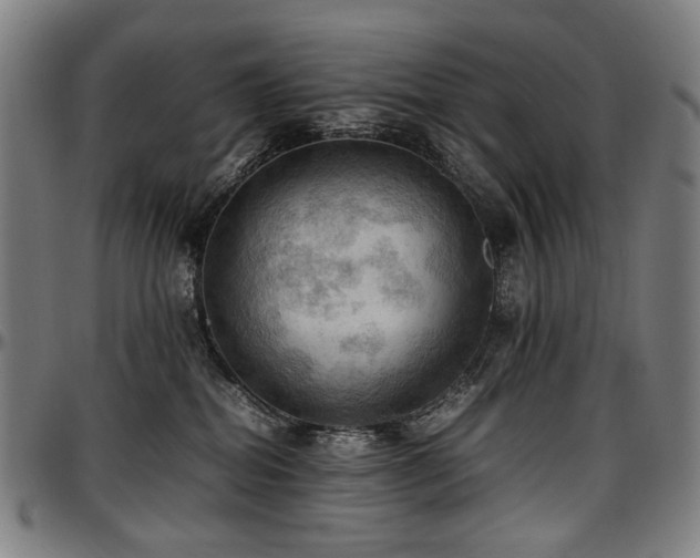 X0000097600282200802291251