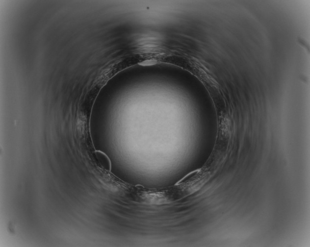 X0000097600283200802291251