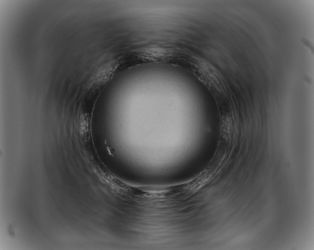 X0000097600284200802291251