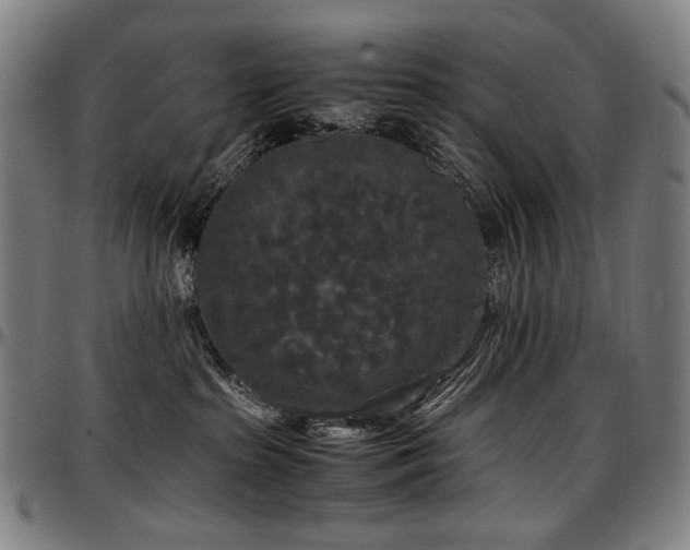 X0000097600285200802291251
