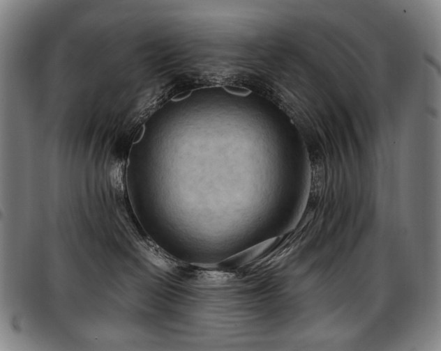 X0000097600286200802291251