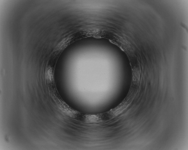 X0000097600287200802291251