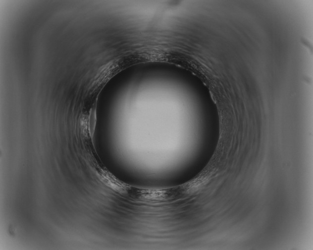 X0000097600288200802291251
