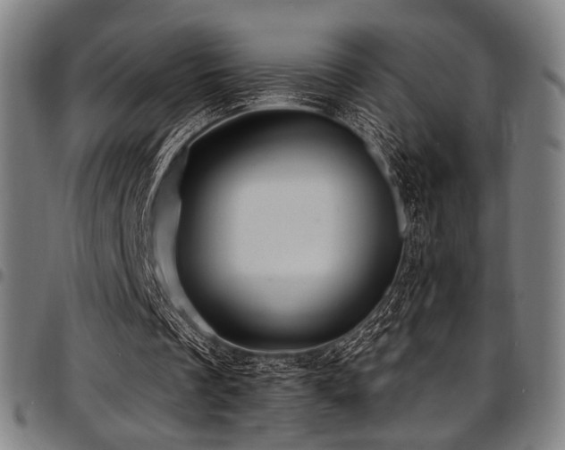 X0000097600289200802291250
