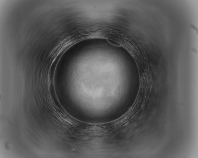 X0000097600290200802291250