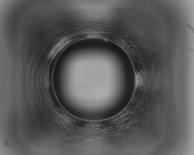 X0000097600291200802291250