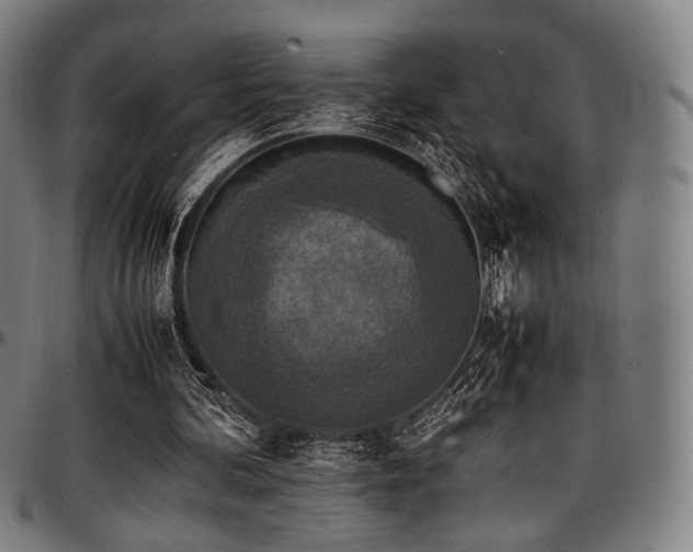 X0000097600292200802291250