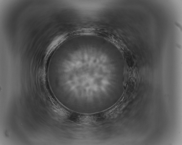 X0000097600293200802291250