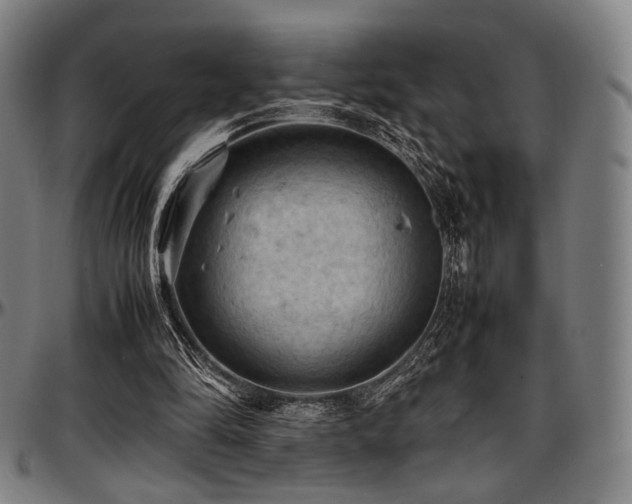 X0000097600294200802291250