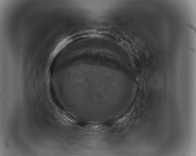 X0000097600295200802291250