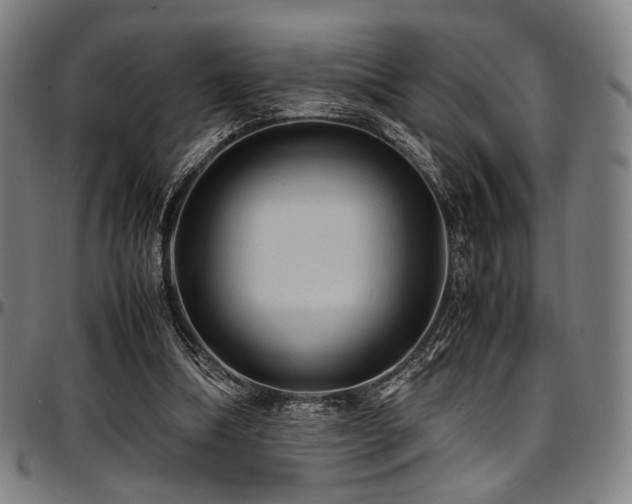X0000097600298200802291250