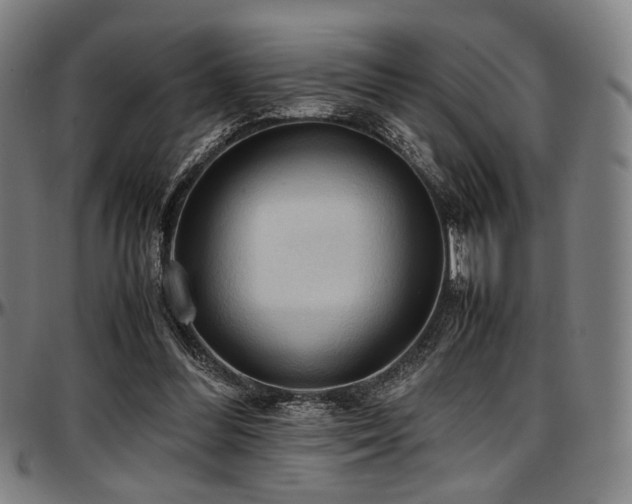 X0000097600300200802291250