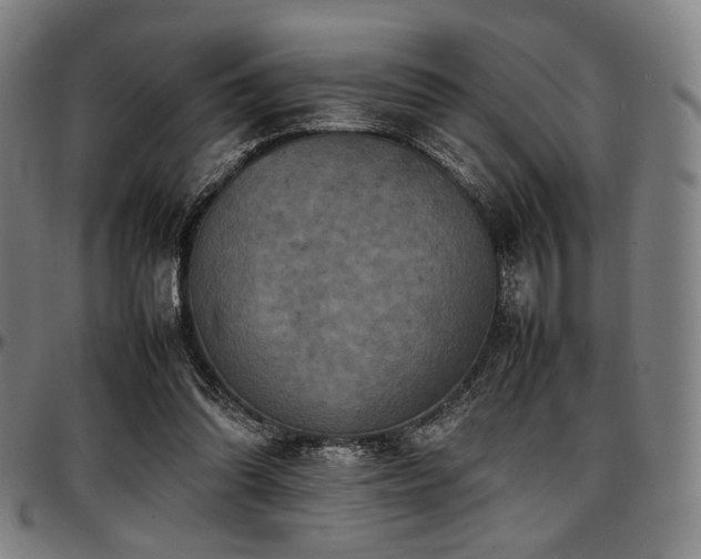 X0000097600302200802291250