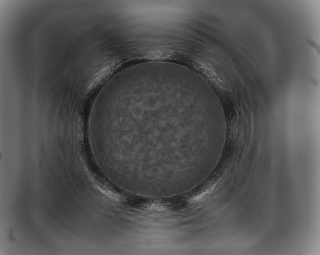 X0000097600303200802291250