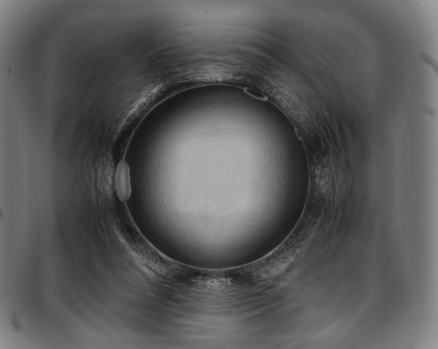 X0000097600304200802291250