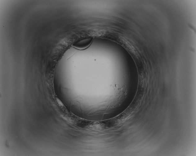 X0000097600307200802291250