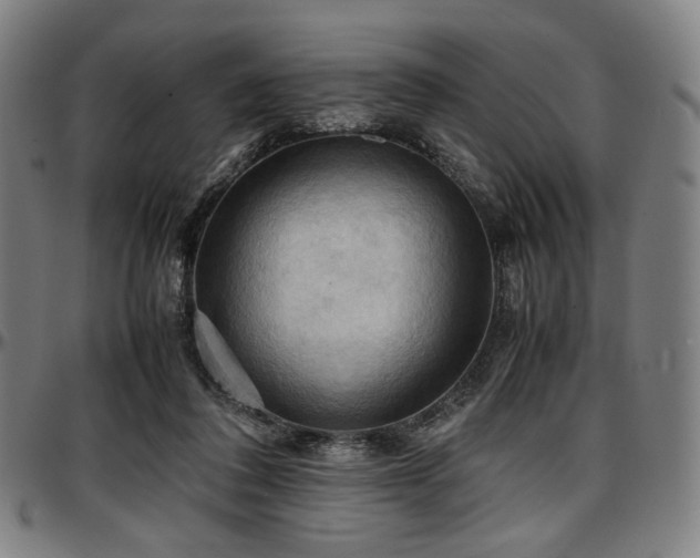 X0000097600308200802291250