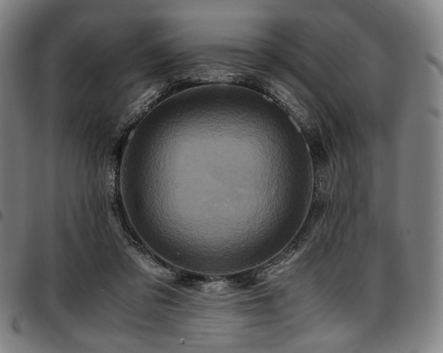 X0000097600309200802291250