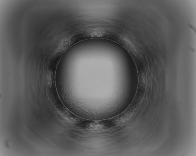 X0000097600311200802291250