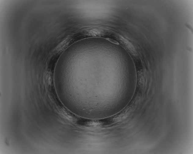 X0000097600313200802291250