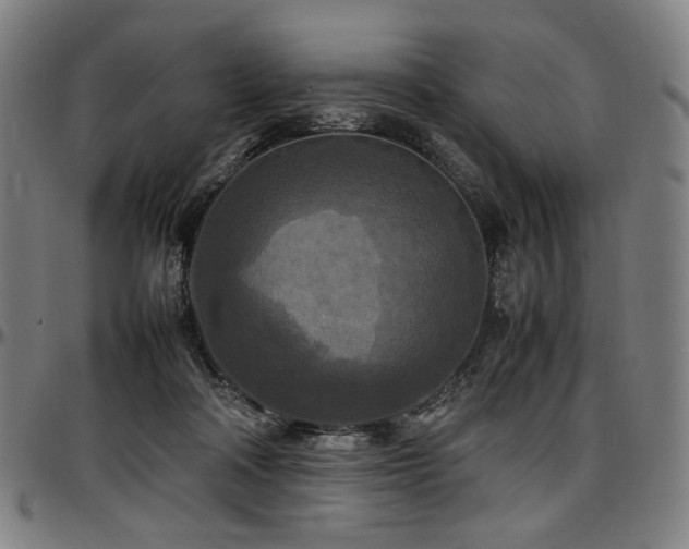 X0000097600314200802291249