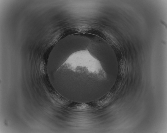X0000097600316200802291249