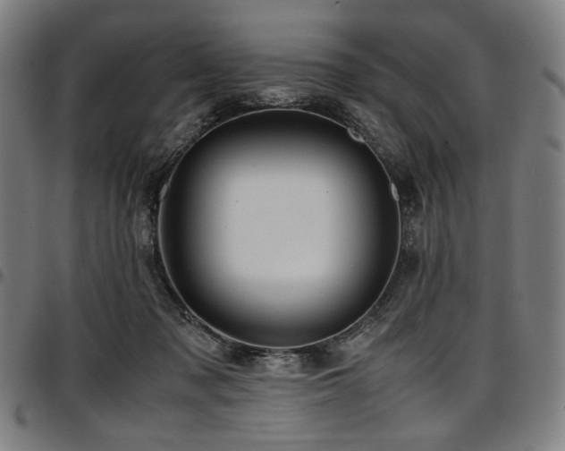 X0000097600317200802291249