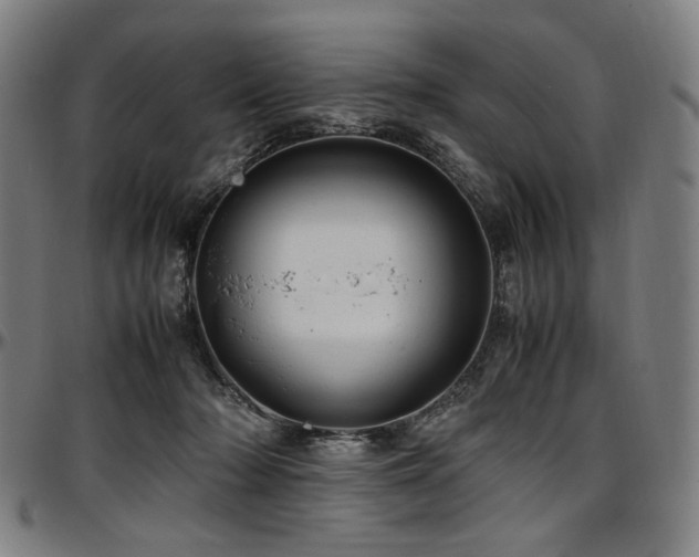 X0000097600318200802291249