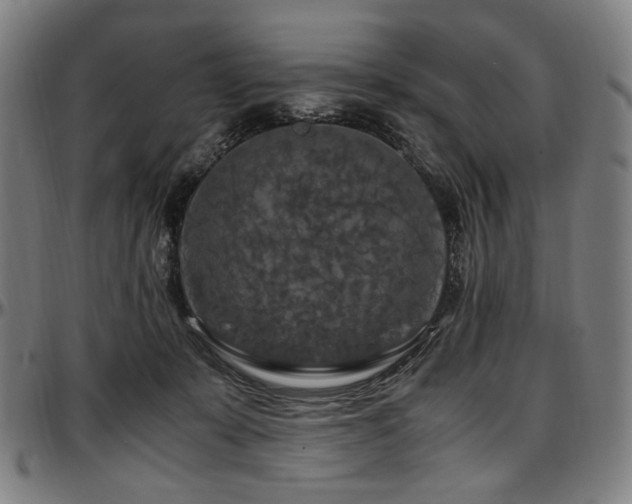 X0000097600319200802291249