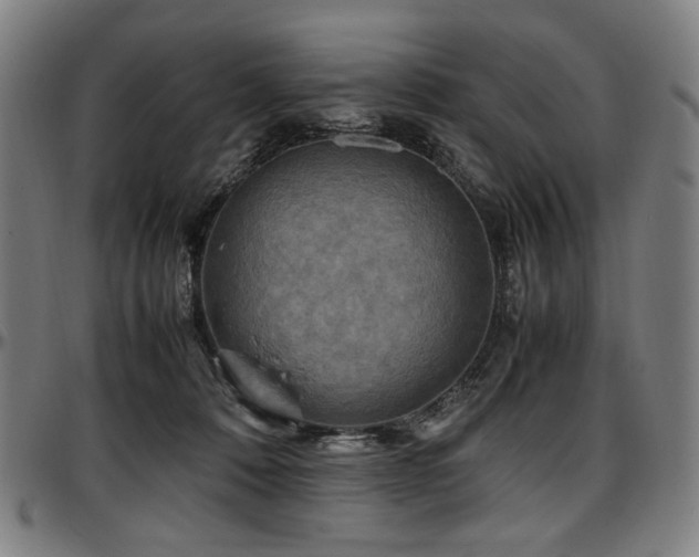X0000097600320200802291249