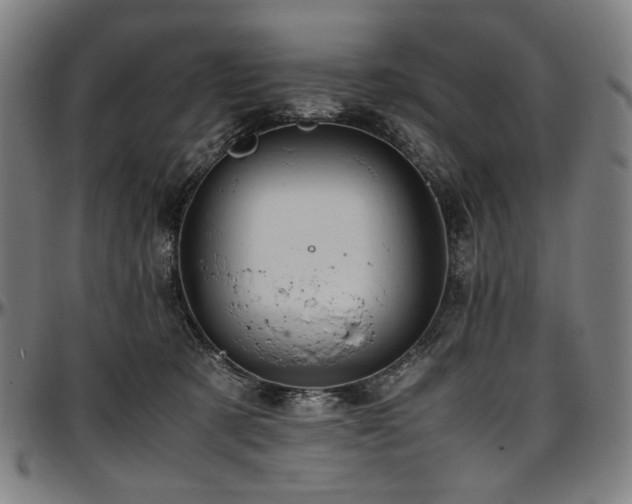 X0000097600321200802291249