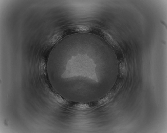 X0000097600322200802291249