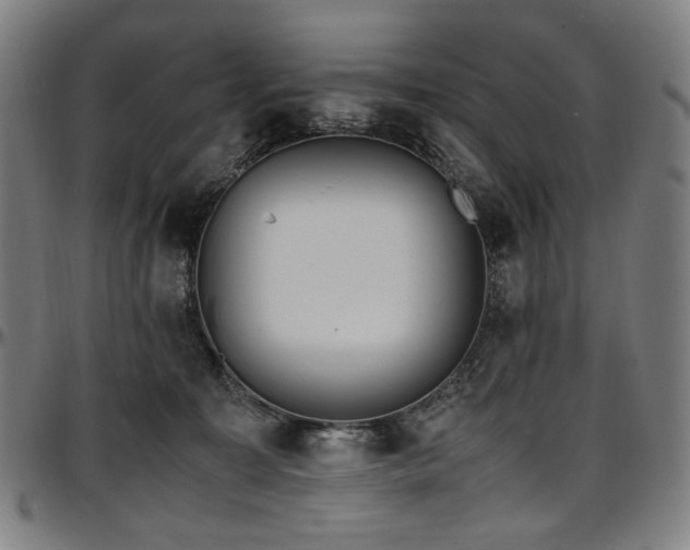 X0000097600323200802291249