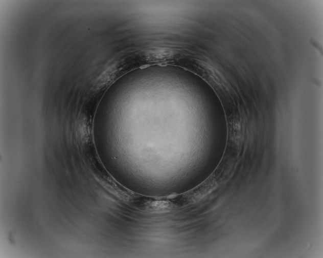 X0000097600324200802291249